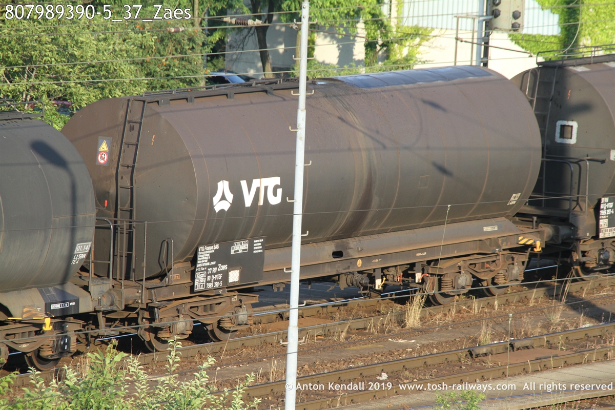 807989390-5_37_Zaes.JPG